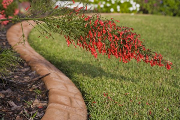 Brick Edging in Denham Springs