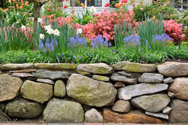 Stone Wall Hardscaping in Denham Springs