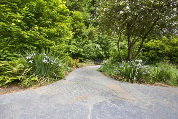 Stone Hardscape Service in Denham Springs